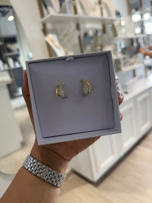 Two Tone Earrings