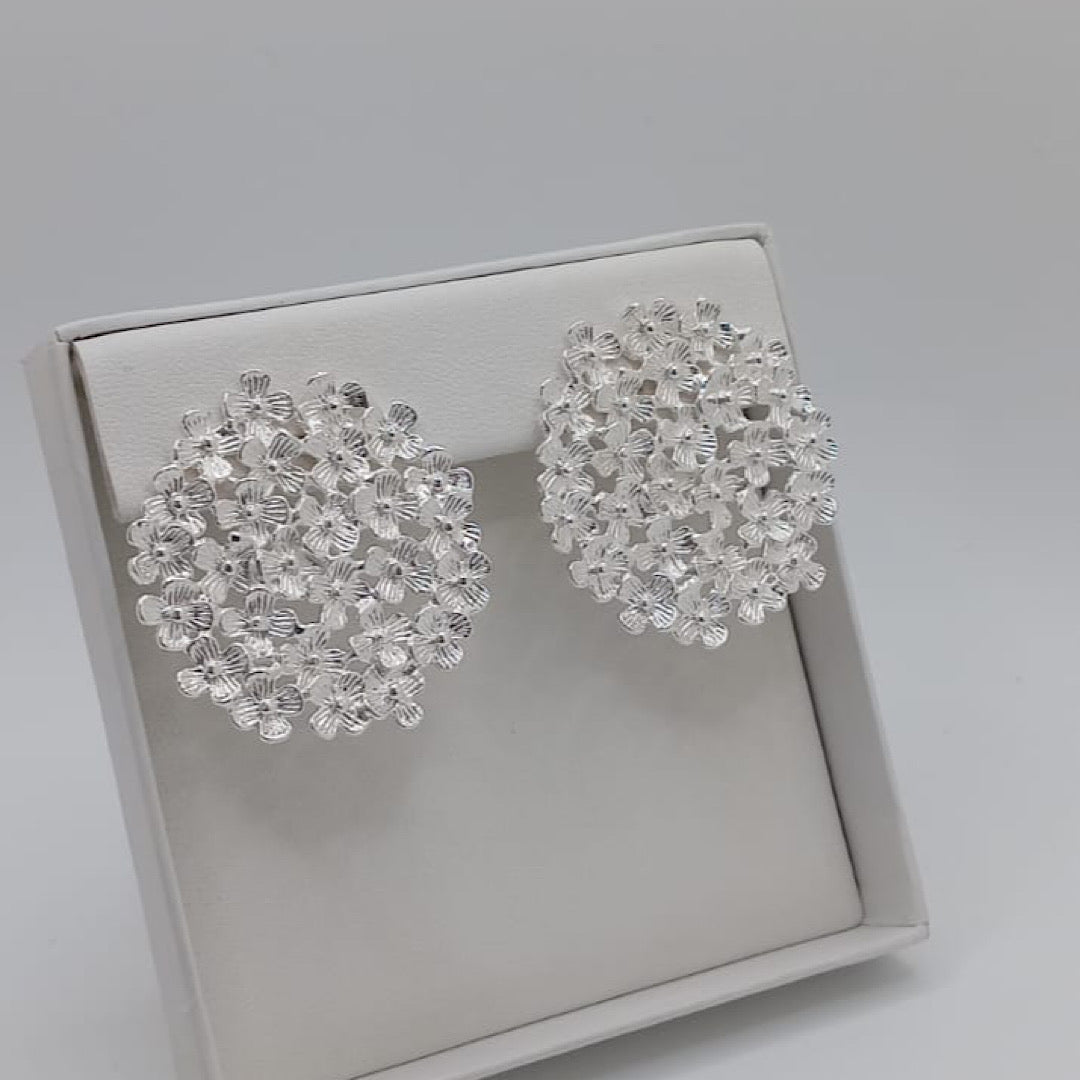 Silver Earrings