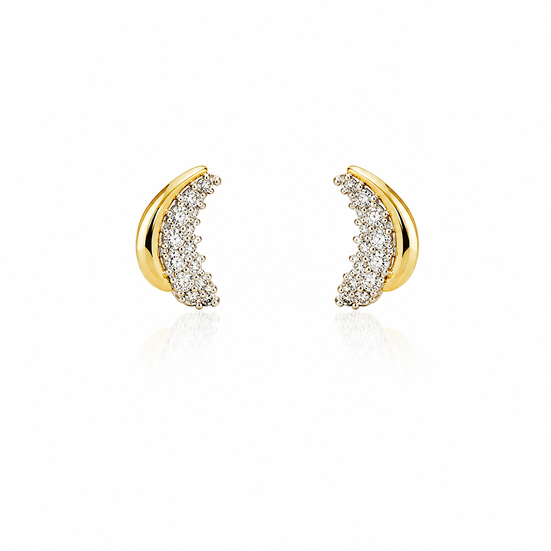 Two Tone Earrings