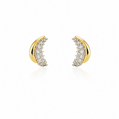 Two Tone Earrings