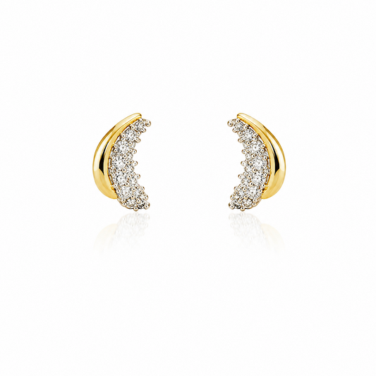 Two Tone Earrings