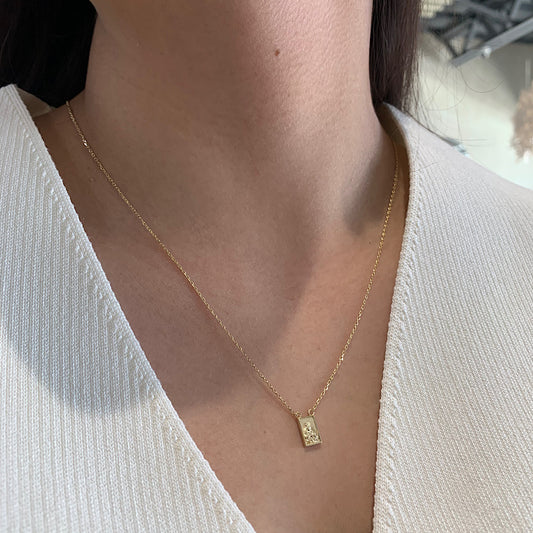 Escapulario Oro 14k